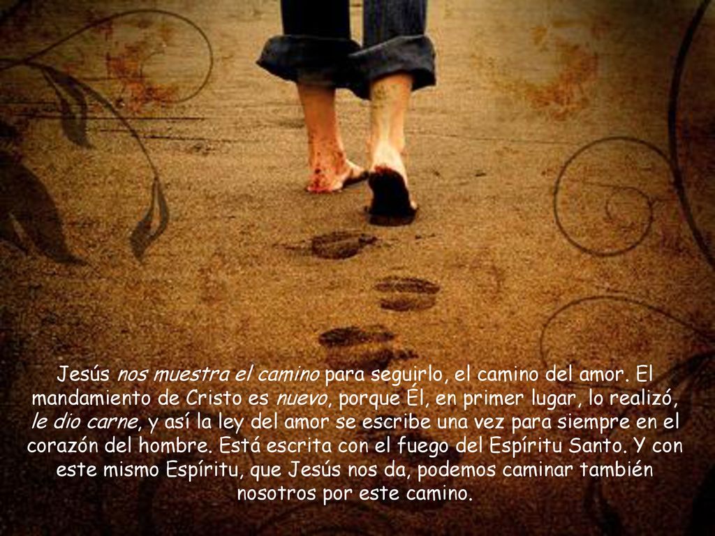 Jesús nos muestra el camino para seguirlo, el camino del amor