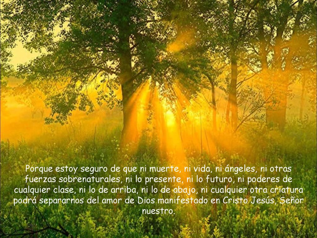 Porque estoy seguro de que ni muerte, ni vida, ni ángeles, ni otras fuerzas sobrenaturales, ni lo presente, ni lo futuro, ni poderes de cualquier clase, ni lo de arriba, ni lo de abajo, ni cualquier otra criatura podrá separarnos del amor de Dios manifestado en Cristo Jesús, Señor nuestro.