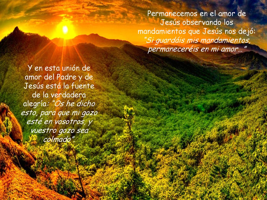 Permanecemos en el amor de Jesús observando los mandamientos que Jesús nos dejó: Si guardáis mis mandamientos, permaneceréis en mi amor…