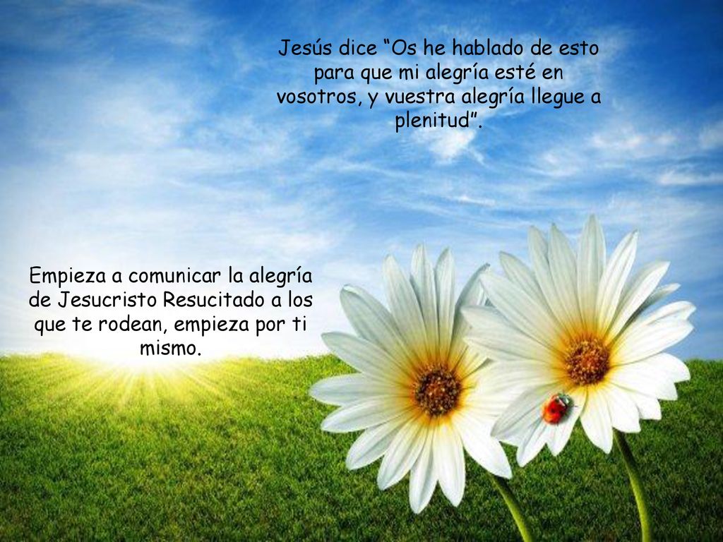 Jesús dice Os he hablado de esto para que mi alegría esté en vosotros, y vuestra alegría llegue a plenitud .