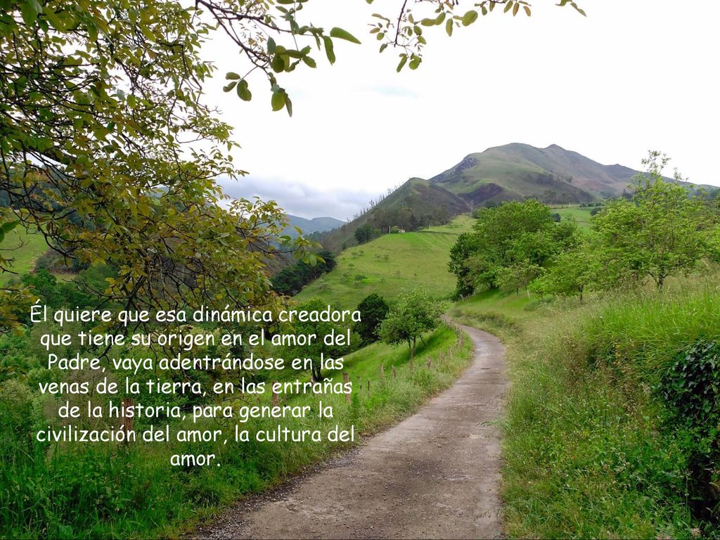 Él quiere que esa dinámica creadora que tiene su origen en el amor del Padre, vaya adentrándose en las venas de la tierra, en las entrañas de la historia, para generar la civilización del amor, la cultura del amor.