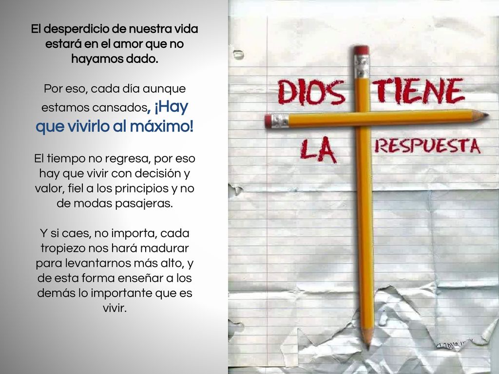 El desperdicio de nuestra vida estará en el amor que no hayamos dado.
