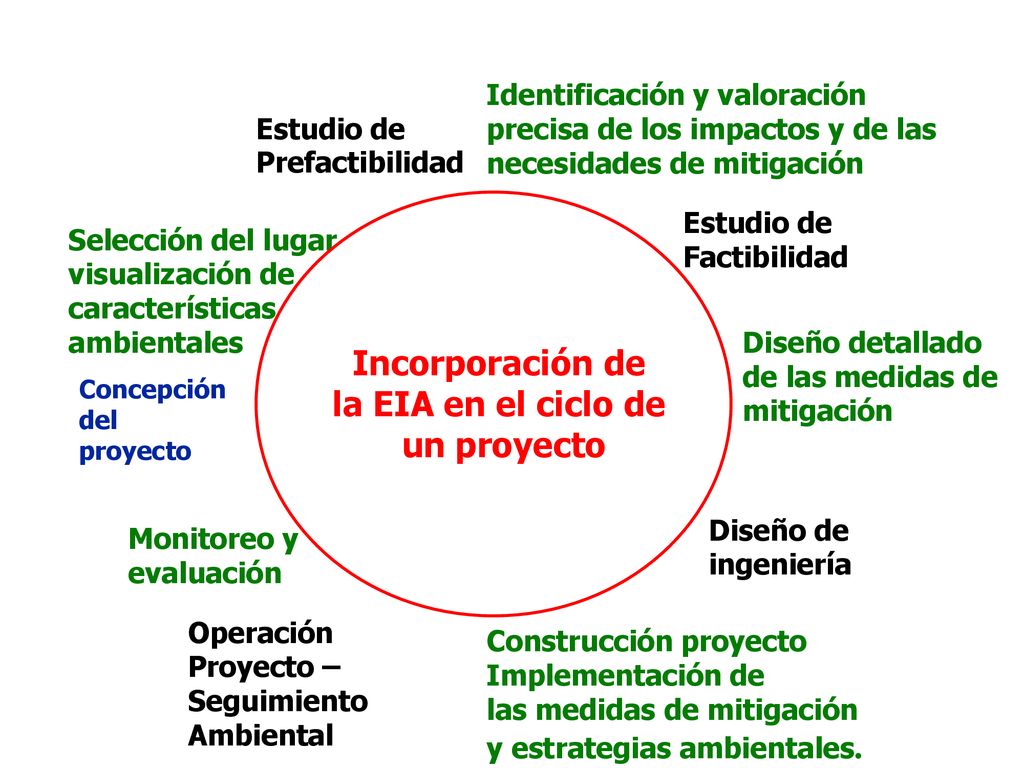 Incorporación de la EIA en el ciclo de un proyecto