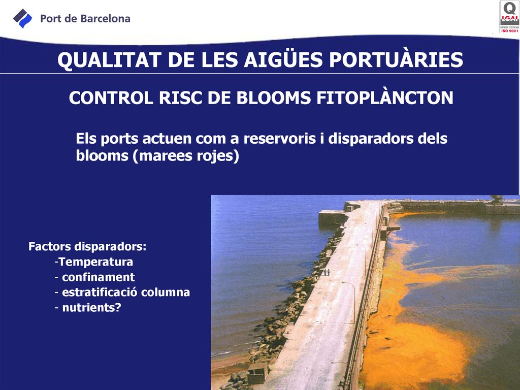 QUALITAT DE LES AIGÜES PORTUÀRIES CONTROL RISC DE BLOOMS FITOPLÀNCTON