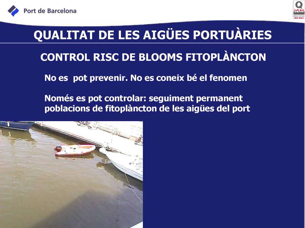 QUALITAT DE LES AIGÜES PORTUÀRIES CONTROL RISC DE BLOOMS FITOPLÀNCTON
