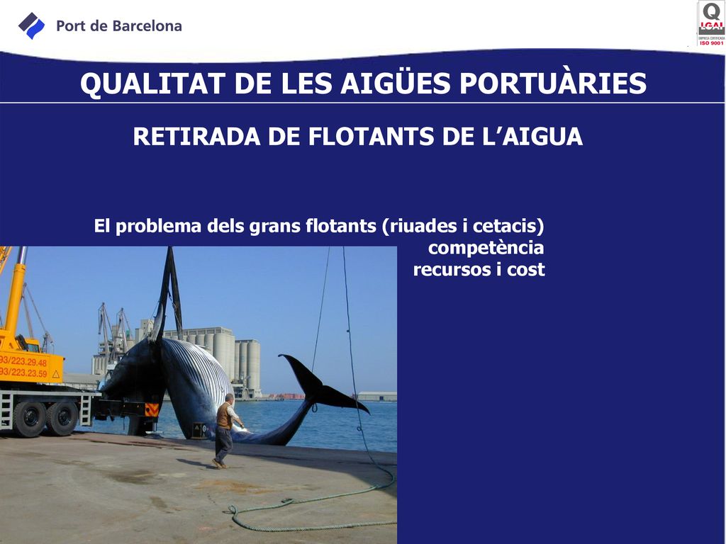 QUALITAT DE LES AIGÜES PORTUÀRIES RETIRADA DE FLOTANTS DE L’AIGUA
