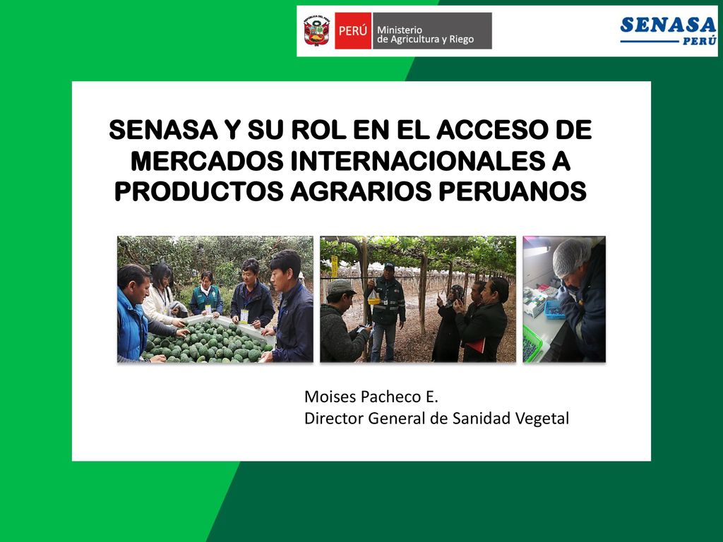 SENASA Y SU ROL EN EL ACCESO DE MERCADOS INTERNACIONALES A PRODUCTOS AGRARIOS PERUANOS