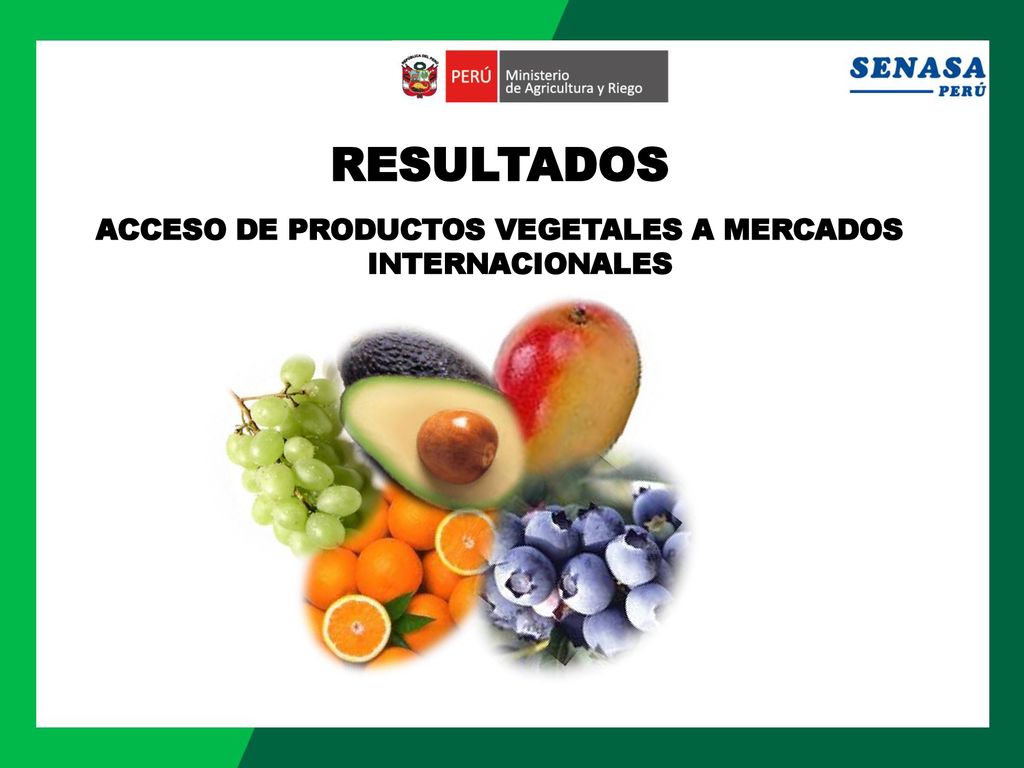 ACCESO DE PRODUCTOS VEGETALES A MERCADOS INTERNACIONALES