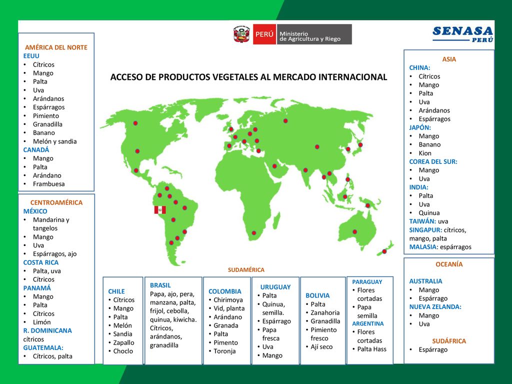 ACCESO DE PRODUCTOS VEGETALES AL MERCADO INTERNACIONAL