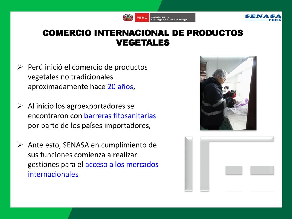 COMERCIO INTERNACIONAL DE PRODUCTOS VEGETALES