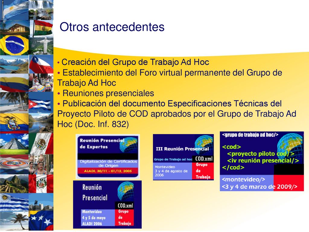 Otros antecedentes Creación del Grupo de Trabajo Ad Hoc. Establecimiento del Foro virtual permanente del Grupo de Trabajo Ad Hoc.