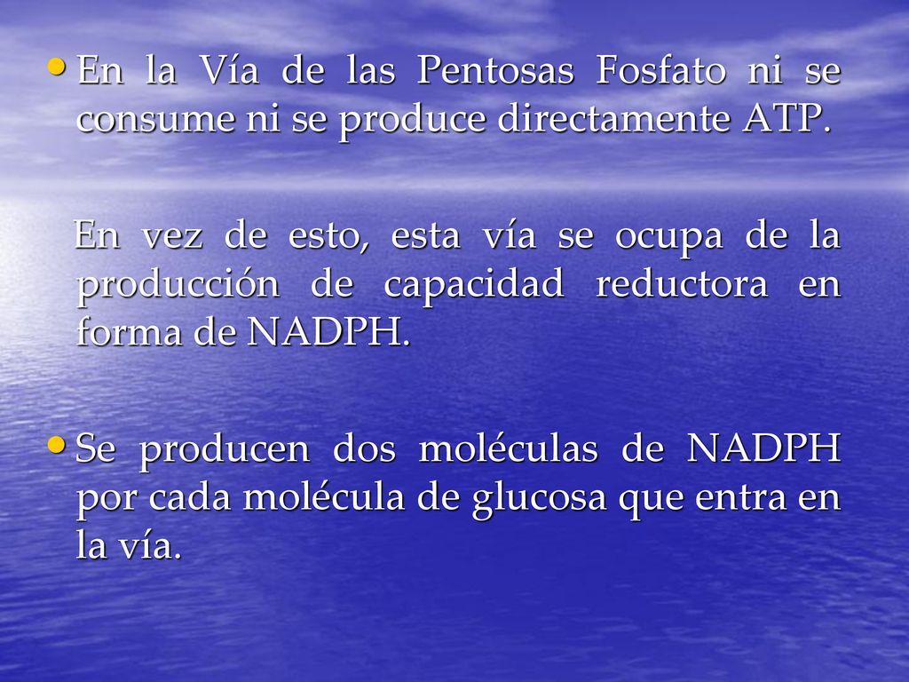 En la Vía de las Pentosas Fosfato ni se consume ni se produce directamente ATP.
