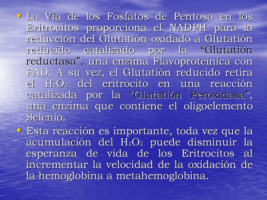 La Vía de los Fosfatos de Pentosa en los Eritrocitos proporciona el NADPH para la reducción del Glutatión oxidado a Glutatión reducido catalizado por la Glutatión reductasa , una enzima Flavoproteínica con FAD. A su vez, el Glutatión reducido retira el H2O2 del eritrocito en una reacción catalizada por la Glutatión Peroxidasa , una enzima que contiene el oligoelemento Selenio.