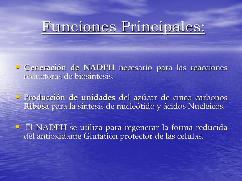 Funciones Principales: