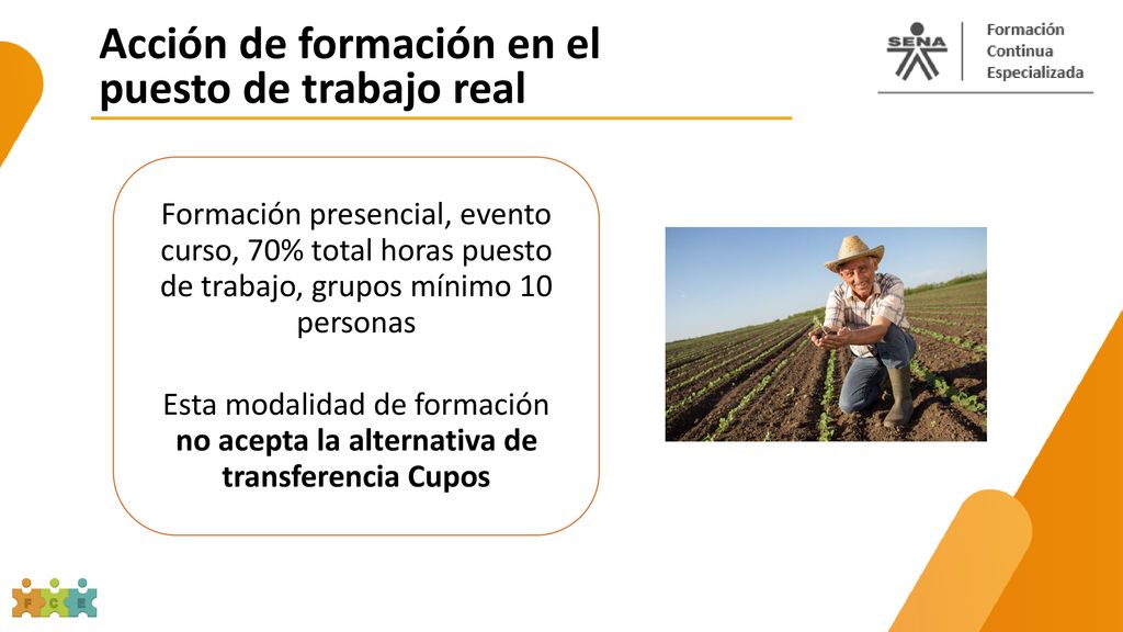 Acción de formación en el puesto de trabajo real