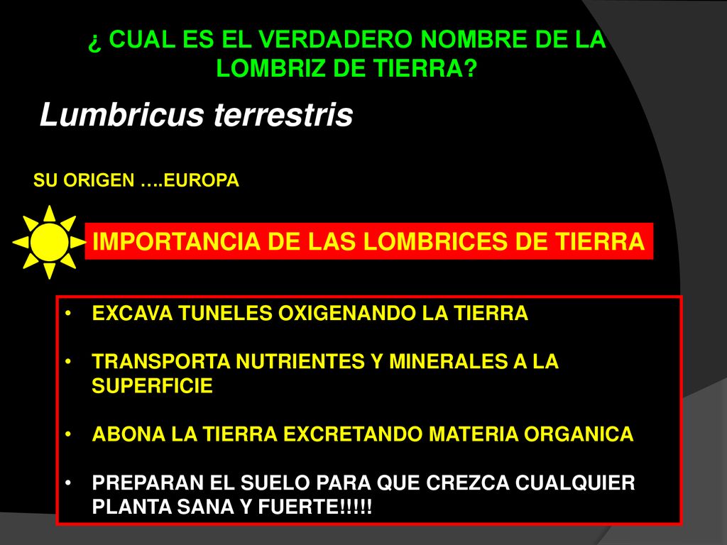 ¿ CUAL ES EL VERDADERO NOMBRE DE LA LOMBRIZ DE TIERRA