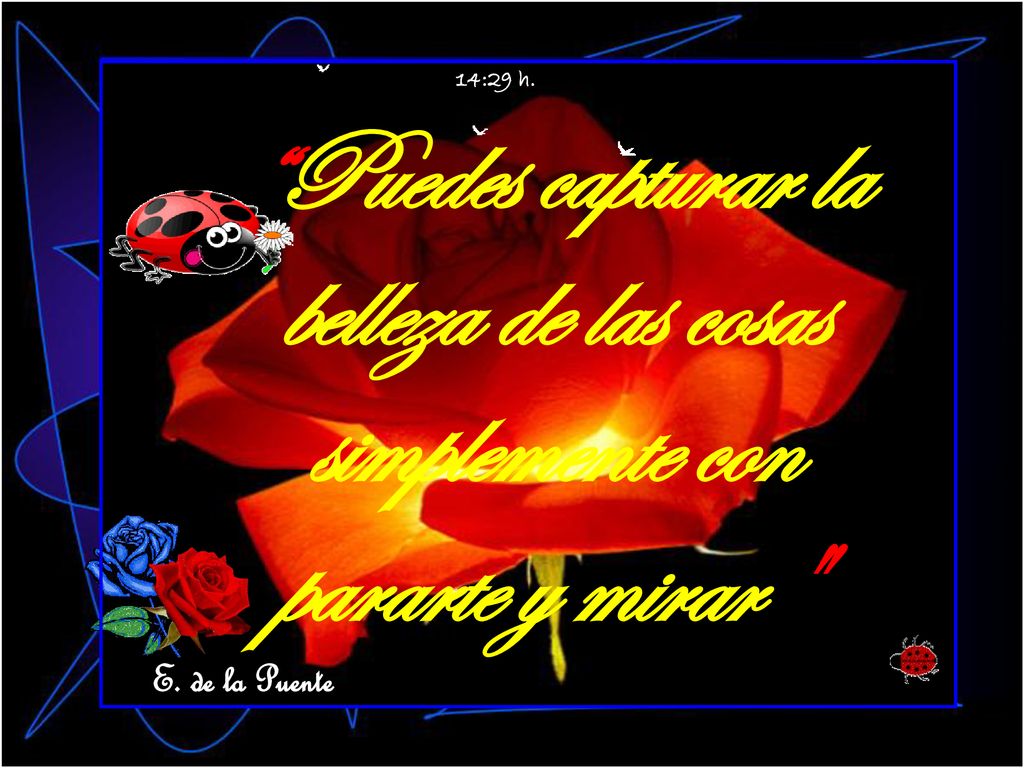 14:29 h. Puedes capturar la belleza de las cosas simplemente con pararte y mirar E. de la Puente