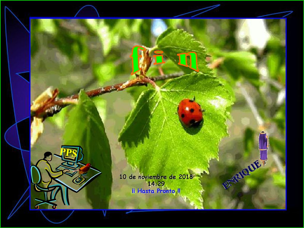 f i n PPS 10 de noviembre de :29 ¡¡ Hasta Pronto !!