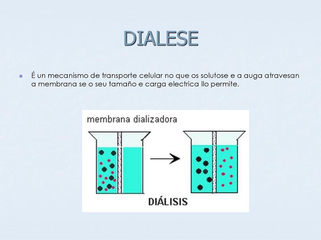 DIALESE É un mecanismo de transporte celular no que os solutose e a auga atravesan a membrana se o seu tamaño e carga electrica llo permite.