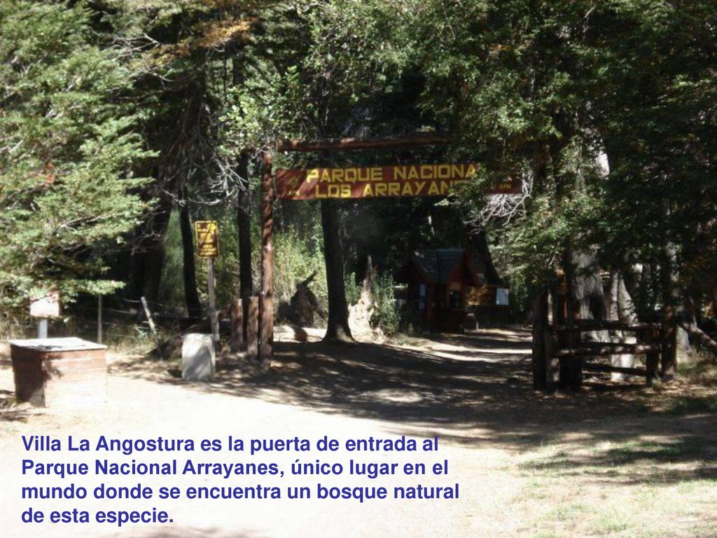 Villa La Angostura es la puerta de entrada al Parque Nacional Arrayanes, único lugar en el mundo donde se encuentra un bosque natural de esta especie.