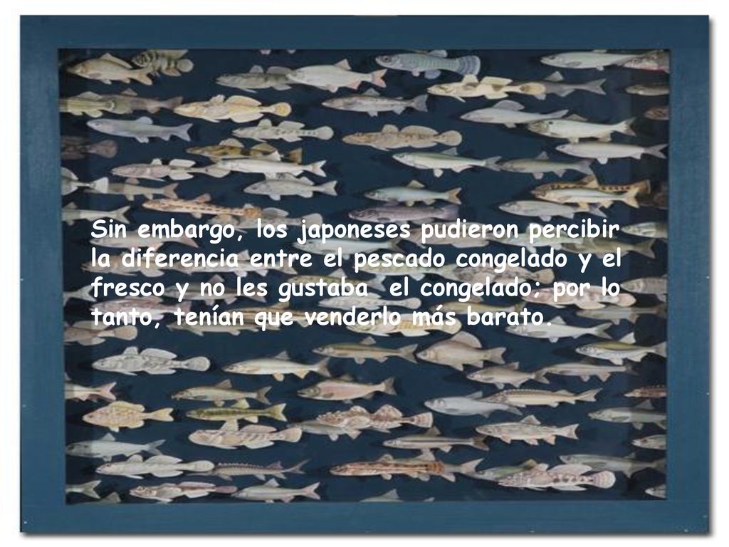 Sin embargo, los japoneses pudieron percibir la diferencia entre el pescado congelado y el fresco y no les gustaba el congelado; por lo tanto, tenían que venderlo más barato.