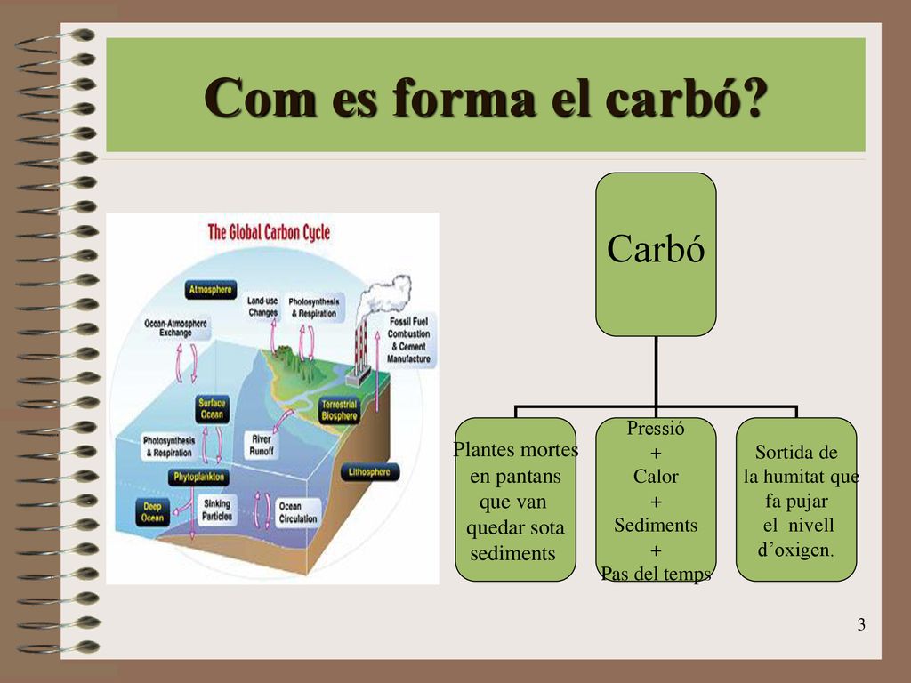 Com es forma el carbó Carbó Plantes mortes en pantans que van
