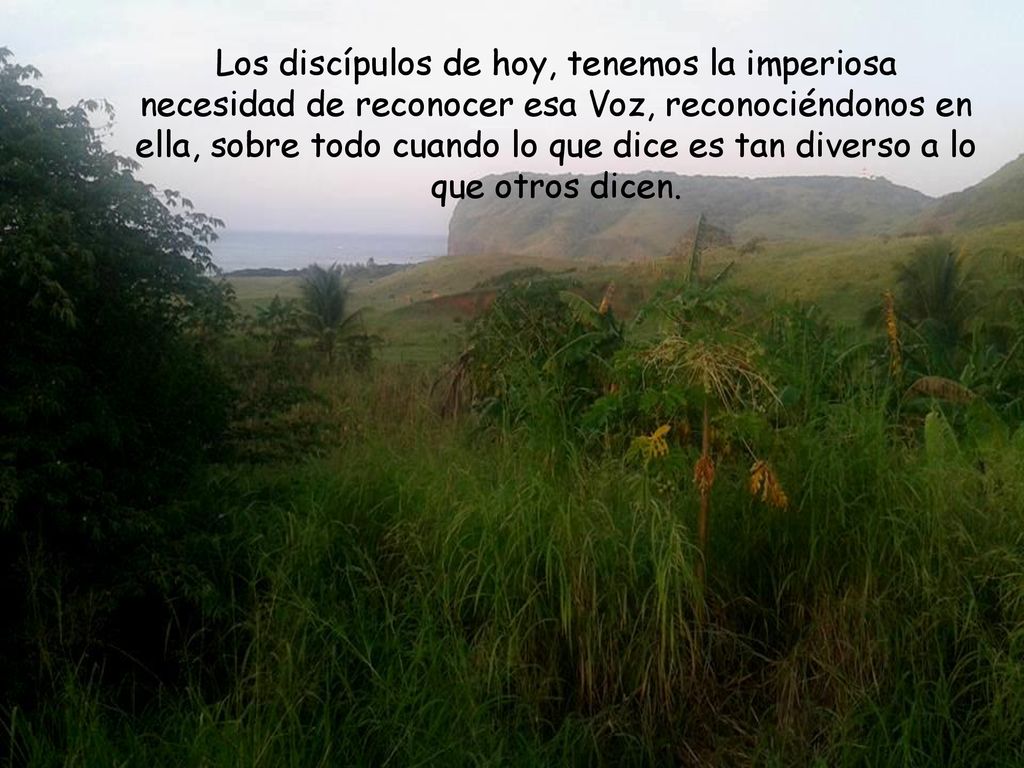 Los discípulos de hoy, tenemos la imperiosa necesidad de reconocer esa Voz, reconociéndonos en ella, sobre todo cuando lo que dice es tan diverso a lo que otros dicen.