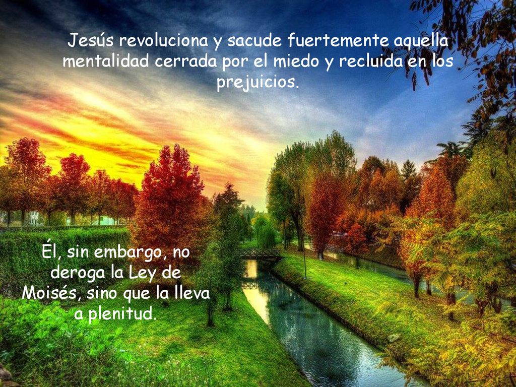 Jesús revoluciona y sacude fuertemente aquella mentalidad cerrada por el miedo y recluida en los prejuicios.