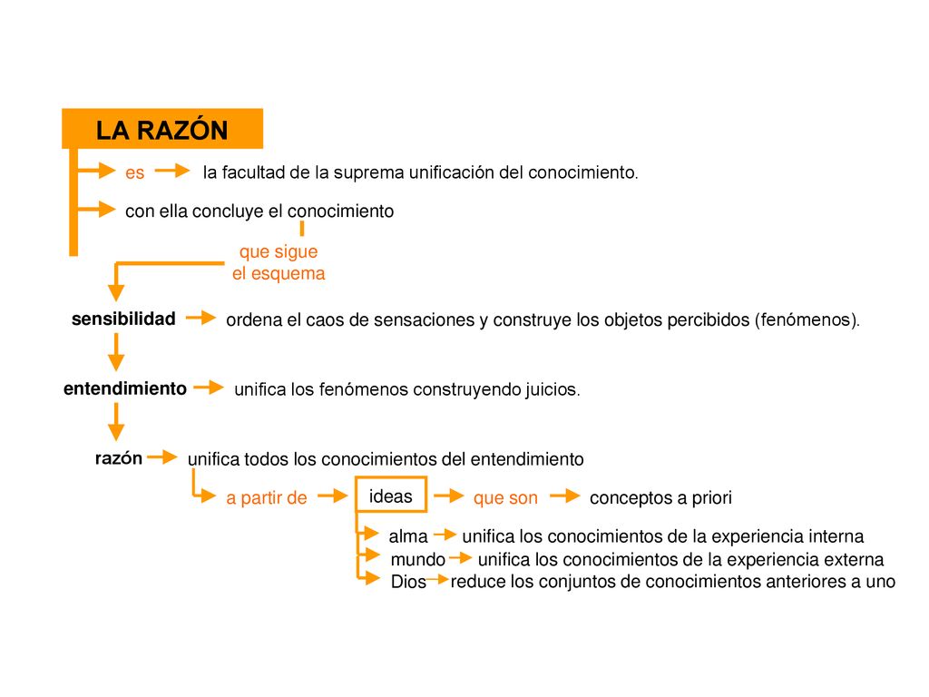 LA RAZÓN es la facultad de la suprema unificación del conocimiento.