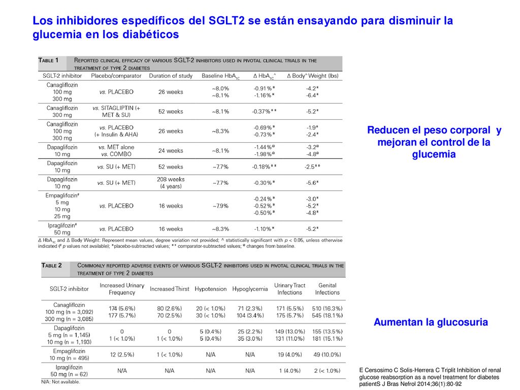 Los inhibidores espedíficos del SGLT2 se están ensayando para disminuir la glucemia en los diabéticos