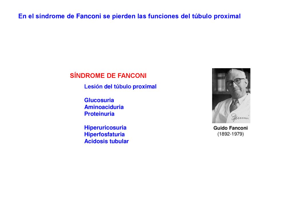 En el síndrome de Fanconi se pierden las funciones del túbulo proximal