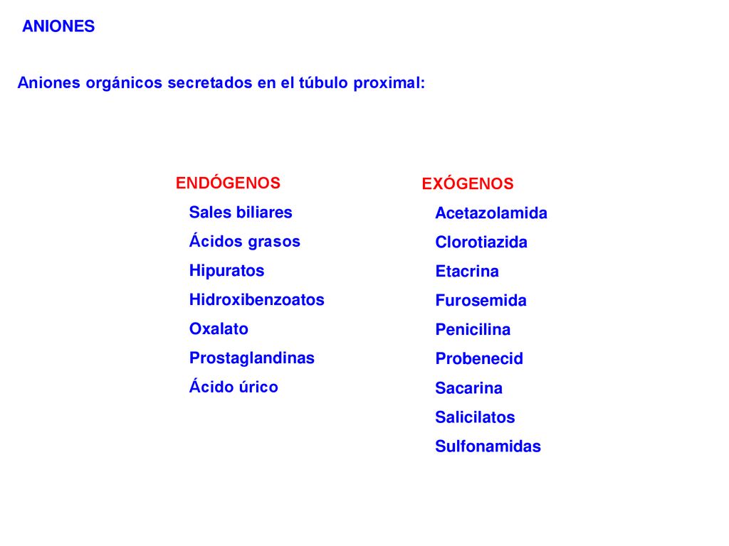 ANIONES Aniones orgánicos secretados en el túbulo proximal: ENDÓGENOS. Sales biliares. Ácidos grasos.