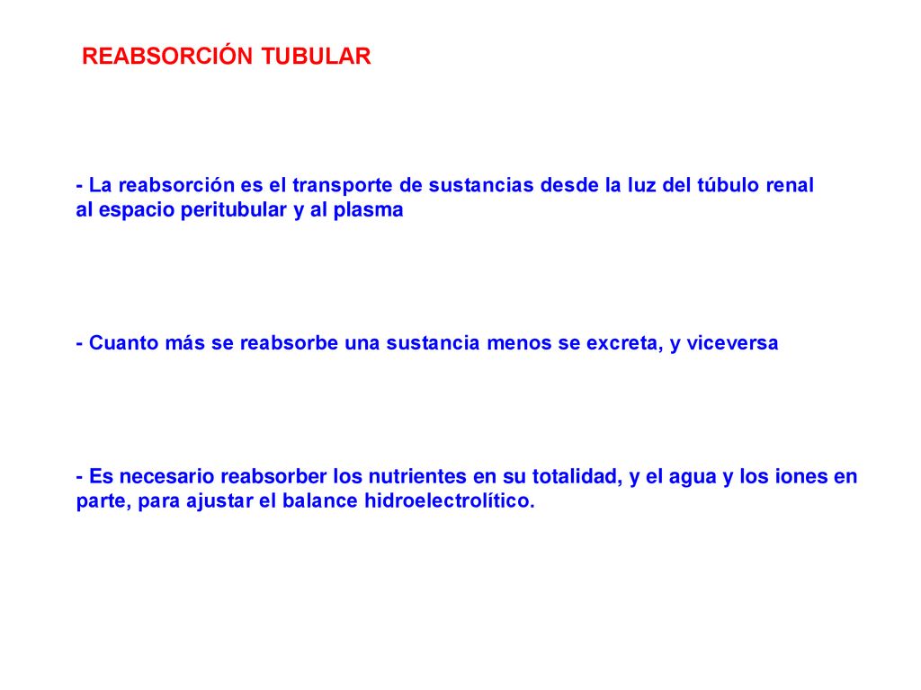 REABSORCIÓN TUBULAR - La reabsorción es el transporte de sustancias desde la luz del túbulo renal al espacio peritubular y al plasma.