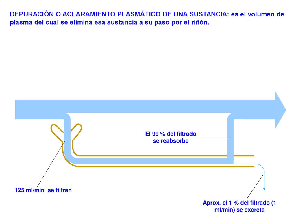 DEPURACIÓN O ACLARAMIENTO PLASMÁTICO DE UNA SUSTANCIA: es el volumen de plasma del cual se elimina esa sustancia a su paso por el riñón.