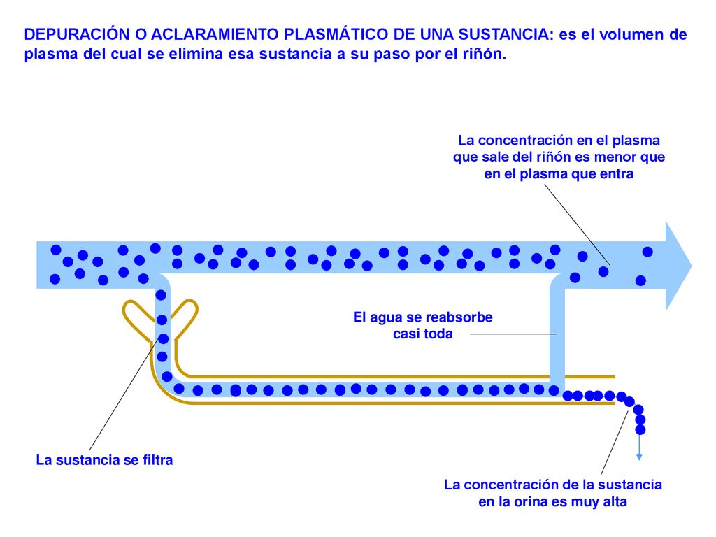 DEPURACIÓN O ACLARAMIENTO PLASMÁTICO DE UNA SUSTANCIA: es el volumen de plasma del cual se elimina esa sustancia a su paso por el riñón.