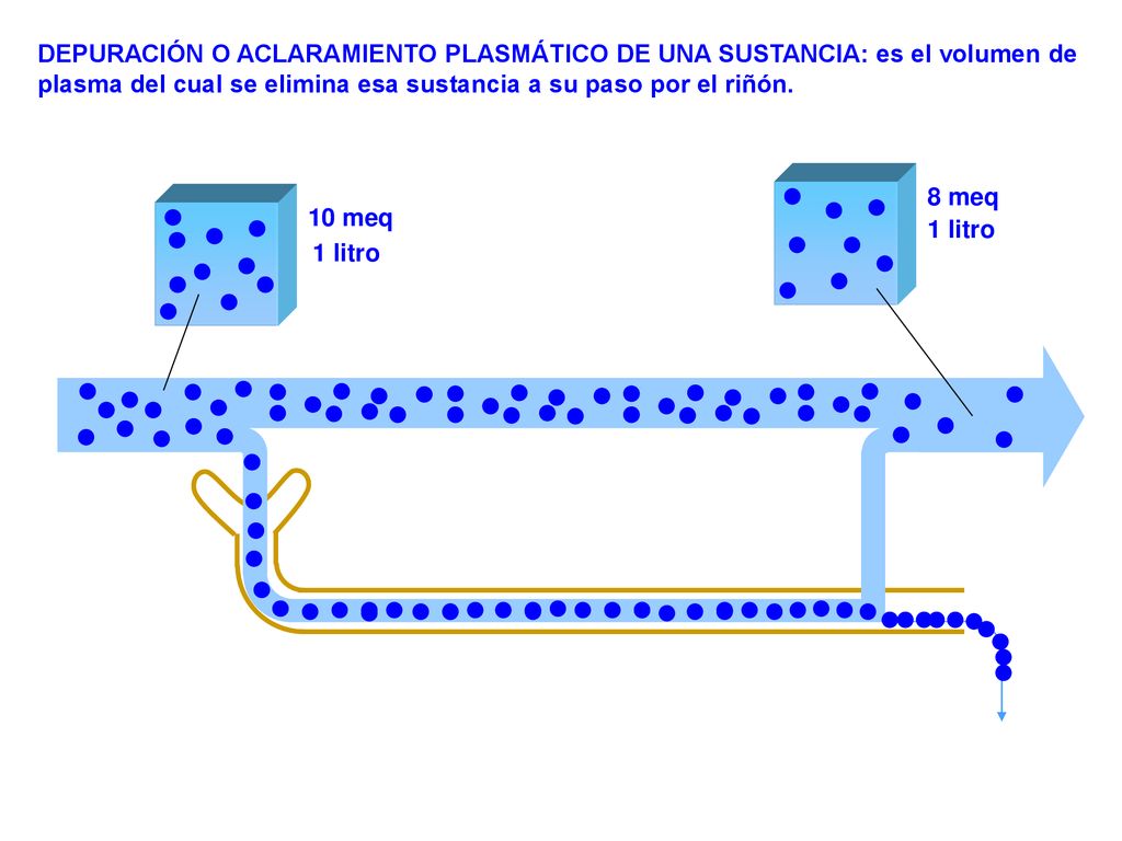 DEPURACIÓN O ACLARAMIENTO PLASMÁTICO DE UNA SUSTANCIA: es el volumen de plasma del cual se elimina esa sustancia a su paso por el riñón.