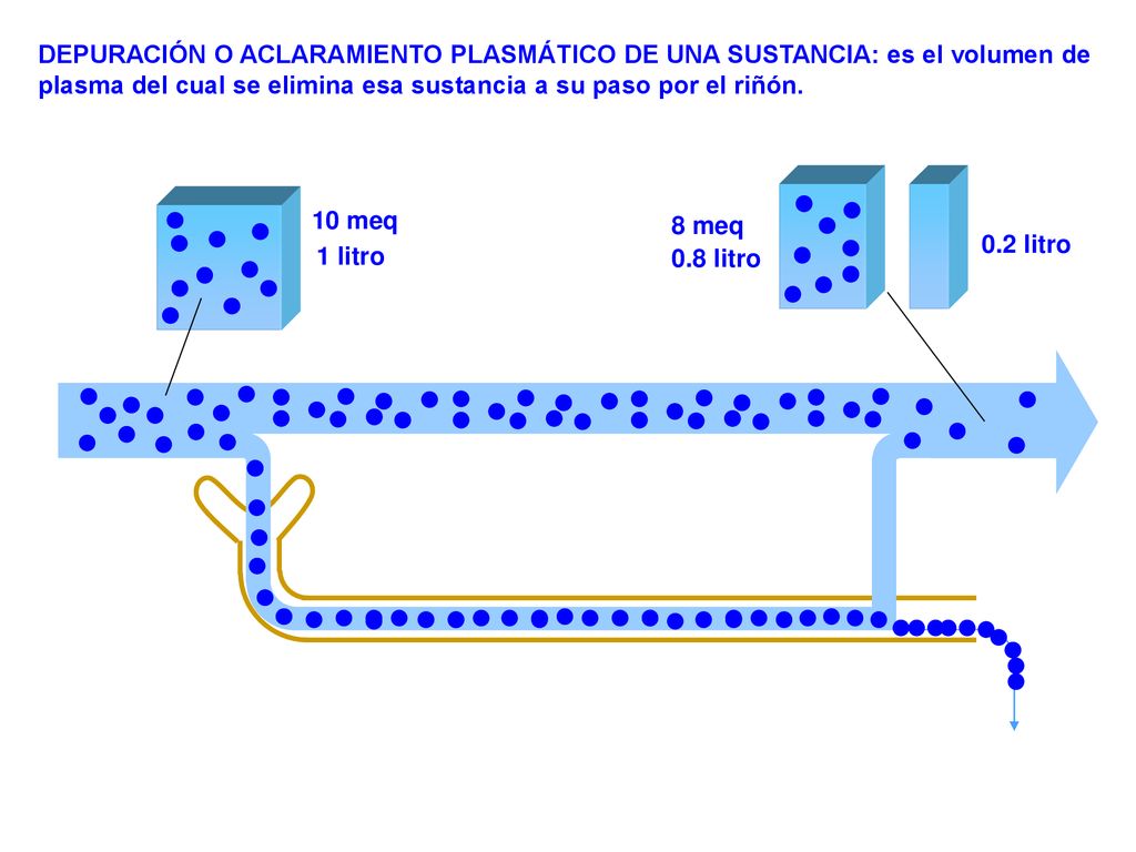 DEPURACIÓN O ACLARAMIENTO PLASMÁTICO DE UNA SUSTANCIA: es el volumen de plasma del cual se elimina esa sustancia a su paso por el riñón.