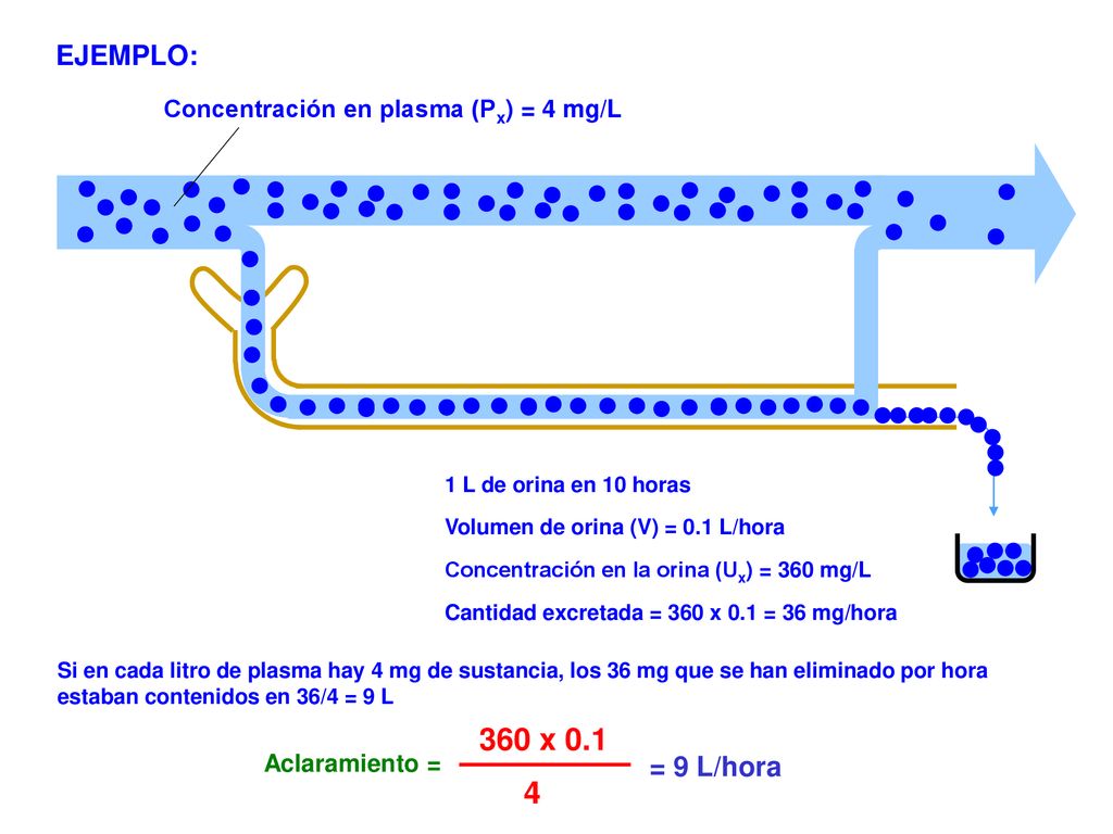 360 x EJEMPLO: = 9 L/hora Concentración en plasma (Px) = 4 mg/L