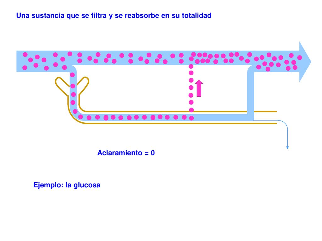Una sustancia que se filtra y se reabsorbe en su totalidad