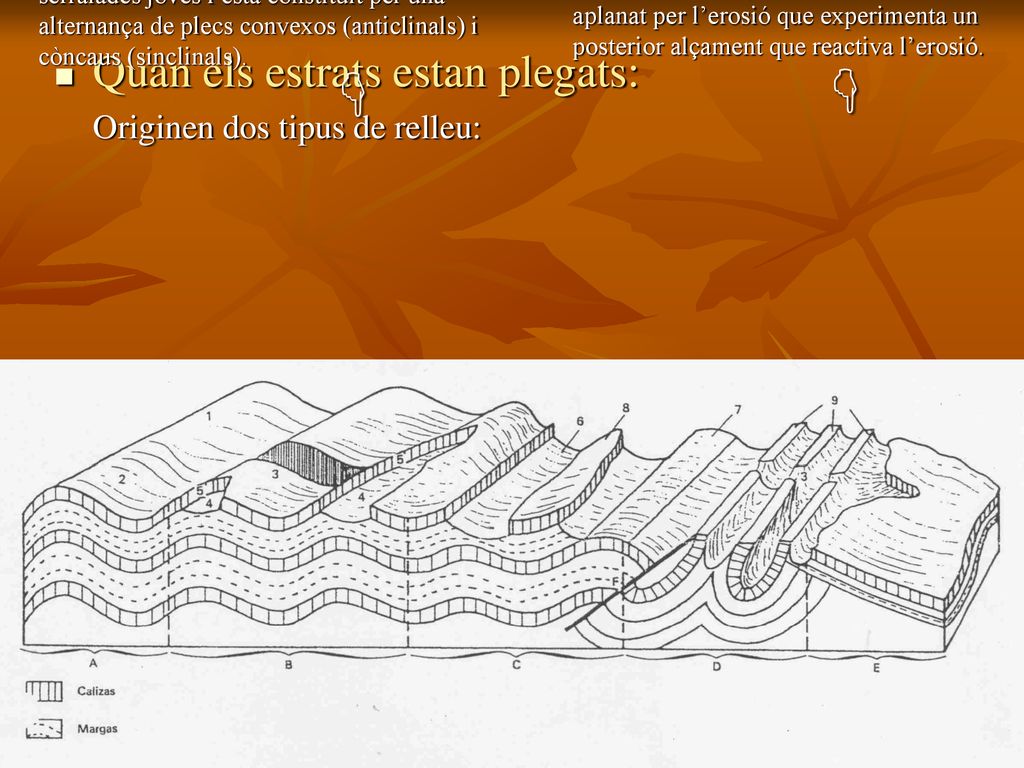   Quan els estrats estan plegats: Originen dos tipus de relleu: