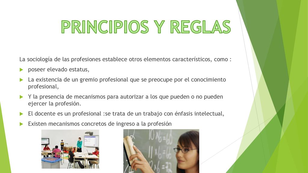 PRINCIPIOS Y REGLAS La sociología de las profesiones establece otros elementos característicos, como :