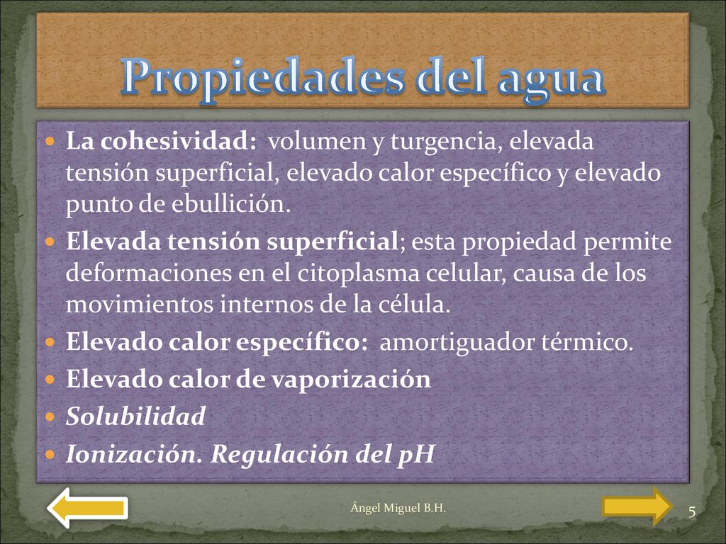 Propiedades del agua La cohesividad: volumen y turgencia, elevada tensión superficial, elevado calor específico y elevado punto de ebullición.