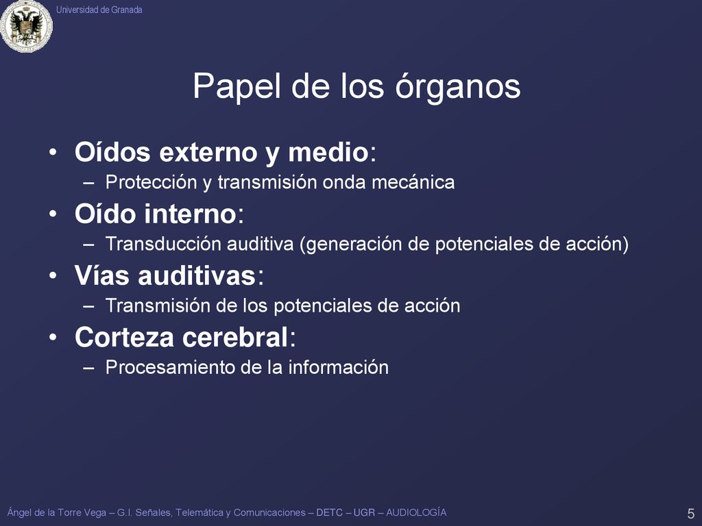 Papel de los órganos Oídos externo y medio: Oído interno:
