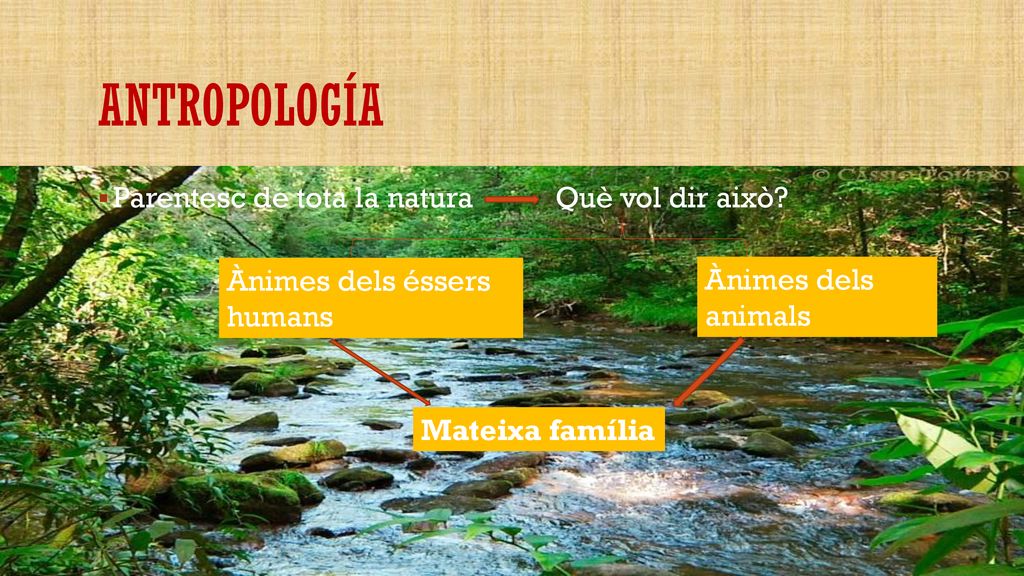antropología Parentesc de tota la natura Què vol dir això