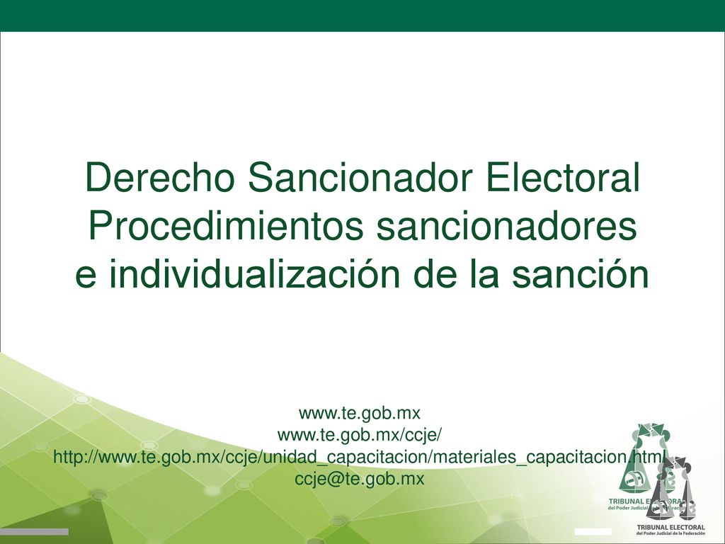 Derecho Sancionador Electoral Procedimientos sancionadores e individualización de la sanción