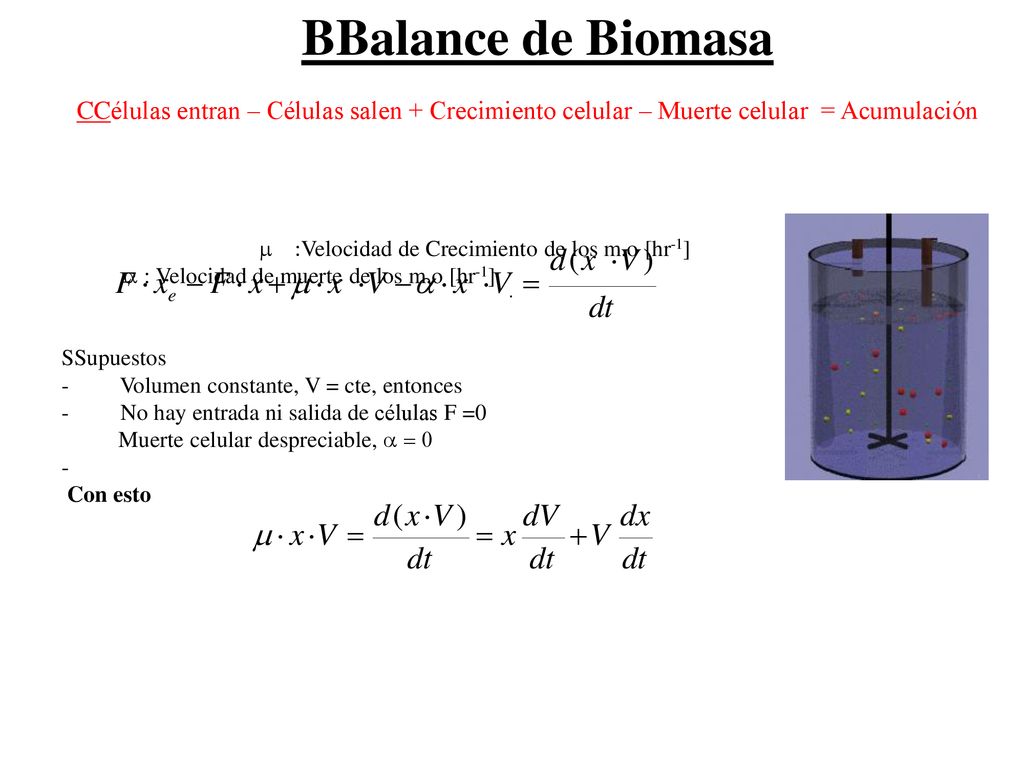 BBalance de Biomasa CCélulas entran – Células salen + Crecimiento celular – Muerte celular = Acumulación