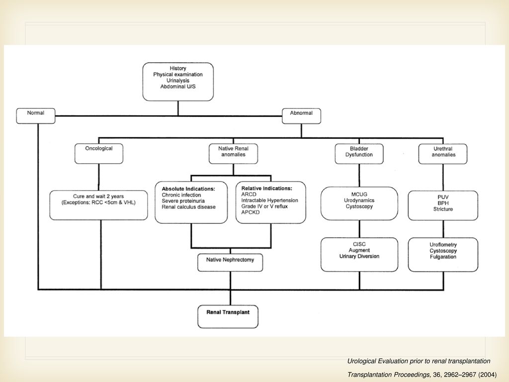 herniorrafia, hidrocele, varicocele, etx hacer previo al transpante para evitar posteriores complicaciones ind¡fecciosas con la inmunosupresion