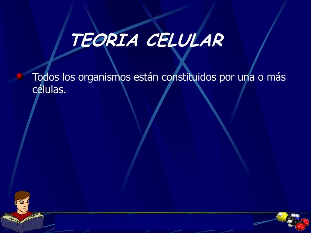 TEORIA CELULAR Todos los organismos están constituidos por una o más células.