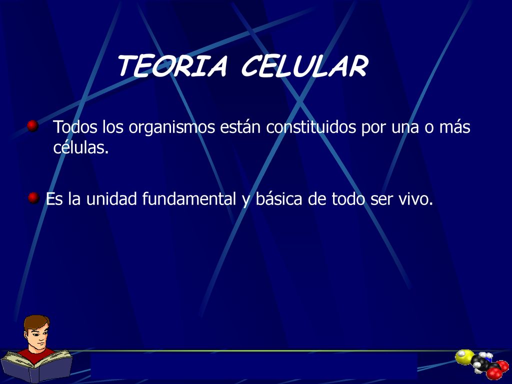 TEORIA CELULAR Todos los organismos están constituidos por una o más células.