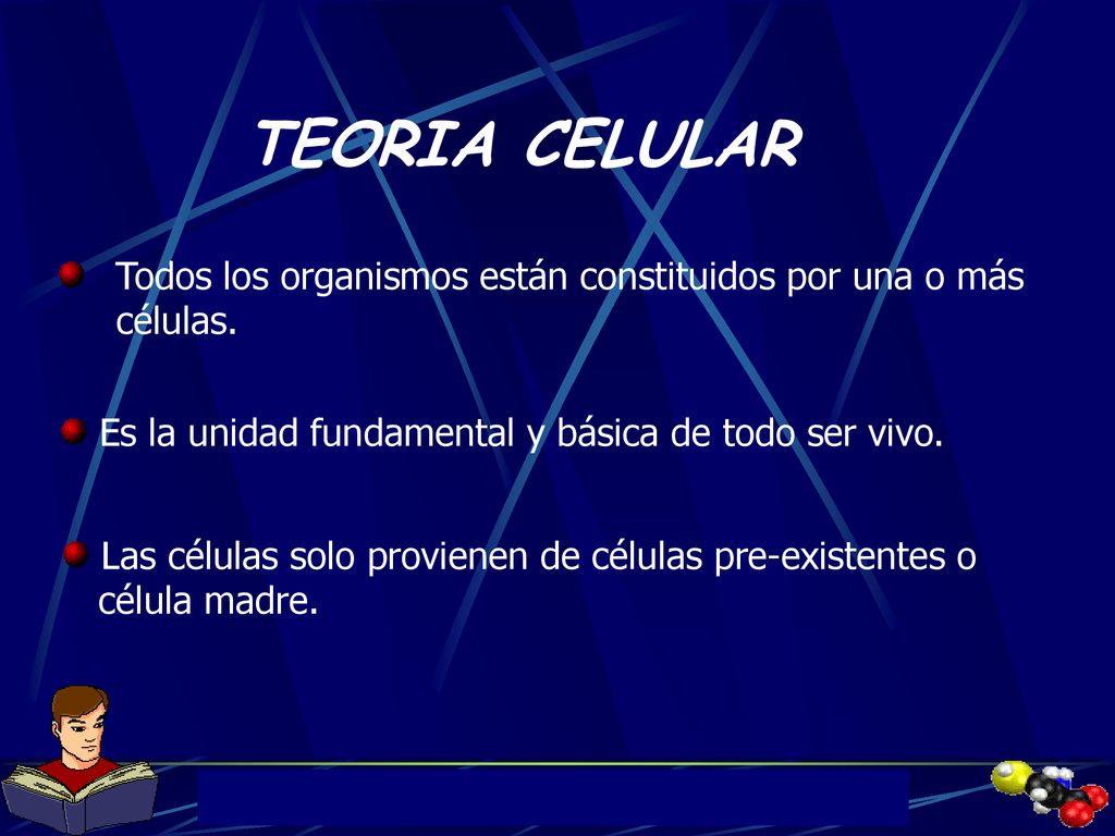 TEORIA CELULAR Todos los organismos están constituidos por una o más células. Es la unidad fundamental y básica de todo ser vivo.
